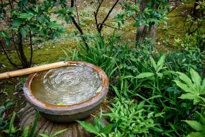 Japon tarzı bir bahçenin 7 ikonik özelliği