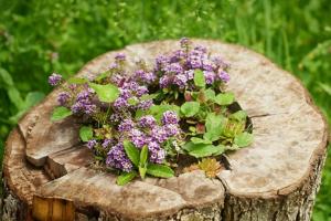 How to decorate a tree stump in the garden