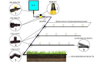 Como organizar a irrigação por gotejamento em um terreno pessoal?